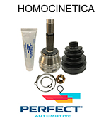 HOMOCINETICA